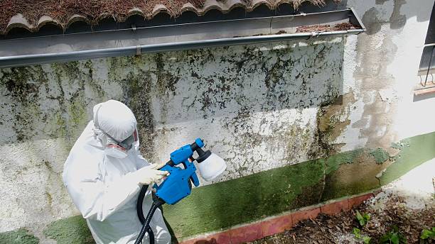 Trusted Mold Remediation service in Cochranville, PA - Cheap Mold Removal